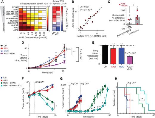 Figure 3. Combination MEKi and AXLi synergistically reduce tumor growth and metastasis in mouse models of melanoma and TNBC. A, cell counts and surface AXL and MET changes (measured by live-cell immunostaining; n= 3) after 24-hour treatment with MEKi in 11 different cell lines. B, correlation between cell count and surface RTK expression after MEKi treatment, ranked by order across cell lines in A (ρ = Spearman correlation, P value from exact permutation test). C, U0126 and PD325901 increase surface AXL (measured by live-cell immunostaining) more in cell lines showing synergistic inhibition of proliferation from dual AXLi/MEKi (P= 0.01, two-tailed t test). Dots represent data from 10 cell lines and two drug combinations (see Supplementary Fig. S3). Treatments in KRAS- or HRAS-mutant cell lines are shown in red and are significantly enriched among the synergistic responses (P= 0.02, Fisher exact test). D, dual AXLi/MEKi reduces tumor growth more than either treatment individually (1 mg/kg PD325901; 30 mg/kg R428), in LM2 TNBC xenografts (*, two-tailed t test, n≥ 7). E, dual AXLi/MEKi reduces metastasis after 21 days of treatment, corresponding to D (*, two-tailed t test, n≥ 7). F–H, AXLi (30 mg/kg R428) cotreatment synergistically increases efficacy of BRAFi/MEKi (1 mg/kg PD0325901 with 10 mg/kg vemurafinib) in LOX-IMVI xenografts by enhancing initial tumor shrinkage (F; P= 0.031, two-tailed t test), delaying tumor recurrence (G; P= 0.002, two-tailed t test), and extending survival (H; P= 0.03, two-tailed log-rank test); n≥ 8 animals per group for all. Note AXLi alone fails to significantly affect tumor growth and animal survival.