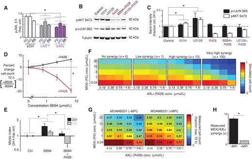 Figure 5. MPi increases proliferation in an AXL-dependent manner and blocks MEKi/AXLi synergy. A, AXL and MET siRNAs reduce compensatory pJNK signaling, measured following 3-hour drug treatment and 48-hour siRNA treatment in MDA-MB-231 (*, P= 0.014, pooled t test, n= 2 reps/cond; siRNA validation, Supplementary Fig. S5E). B and C, representative Western blots (B) and quantification (C) show enhanced pAKT and p-cJUN following 24-hour treatment with either MPi or MEKi, which is blocked in the presence of AXLi (*, P < 0.05, two-tailed t test, n≥ 3). D, MPi using BB94 enhances proliferation in the absence of R428, but decreases proliferation when R428 is present (P= 0.02; n≥ 4, two-tailed t test). E, BB94 increases mitotic index, measured by FACS cell-cycle analysis, which is blocked by AXLi using R428 (bars denote P < 0.05; n≥ 4 total reps; pooled two-tailed t test). F, computed simulations to illustrate how increasing the Loewe synergy term α theoretically affects cell survival (shown by heatmaps) in response to varying combinations of AXLi and MEKi cotreatment. G, cells were treated with varying combinations of MEKi and AXLi for 72 hours, in the presence or absence of BB94, after which cell count was measured (shown as numbers and heatmap as a fraction of the max cell count for each plate). H, data from combination drug treatments (G) were fit to a model of Loewe synergy, yielding the synergy interaction term α, which significantly decreased with MPi (*, P < 0.05, two-tailed jackknife test, n= 20 measurements over n= 2 reps).