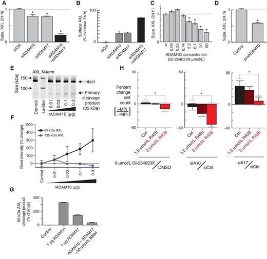 Figure 6. ADAM10 and ADAM17 regulate cell surface AXL and alter cell growth in an AXL-dependent manner. A and B, ADAM-targeted siRNAs (validation: Supplementary Fig. S6A) reduce supernatant (supe.) AXL (A; ELISA measurement) and increase surface AXL (B; live-cell immunostaining) compared with nontargeted siRNA (*, P < 0.05; n≥ 2) in MDA-MB-231. C, the specific ADAM10 inhibitor GI-254023X decreases supernatant AXL from MDA-MB-231 (*, P < 0.05; n= 3). D, the specific ADAM10 inhibitor proA10 reduces supernatant AXL compared with the vehicle control, measured by ELISA using MDA-MB-231 (*, P < 0.05; n≥ 2). E and F, recombinant ADAM10 cleaves recombinant AXL in a dose-response fashion, shown by AXL immunoblot (E) and corresponding quantification (F; *, P < 0.05; two-tailed t test; n= 2). G, recombinant ADAM10 and ADAM17 cleave recombinant AXL, and cleavage is blocked by MPi using BB94 (n= 2). H, in MDA-MB-231 cells, ADAM10 inhibition or knockdown by siRNA only decreases proliferation in the presence of AXLi using R428. ADAM17 siRNA only induces proliferation in the absence of AXLi. SiRNA results were measured 24 hours after AXLi, 72 hours after transfection, and GI-254023X results were measured after 72-hour treatment (*, P < 0.05; n≥ 4; two-tailed t test).