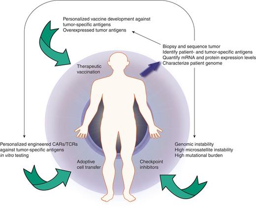 Figure 2. Strategies for personalized precision immunotherapy. After biopsy of the patient's tumor, whole-exome sequencing permits characterization of the tumor genome and identification of predicted neoantigens. This patient-specific information can then be utilized to individualize immunotherapy care against tumor-specific vulnerabilities.
