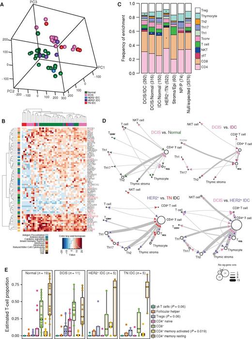 Figure 2. Gene expression profiles of T cells. In all panels, NP and P indicate normal breast of nulliparous and parous women, respectively. A, 3-D Principal Component Analysis plot of RNA-seq data. B, Heat map depicting clustering of samples based on the expression of top differentially expressed immune-related genes with highest variance defined by both edgeR and DESeq2. C, Frequency of enrichment of a particular cell type following GSEA using the Immune c7 compendium. Significance was determined using proportionality test with multiple testing correction. *, P < 0.05 after correcting for multiple hypothesis testing. D, Network of enriched immune c7 cell type–specific gene sets. Node size is reflective of number of times a T-cell type appears as significantly enriched, and arrow thickness is reflective of number of significant gene sets involved in a particular comparison. E, Frequency of T-cell populations calculated using CIBERSORT based on RNA-seq expression data from bulk T-cell samples, with difference in populations computed using ANOVA.
