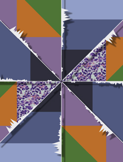graphic