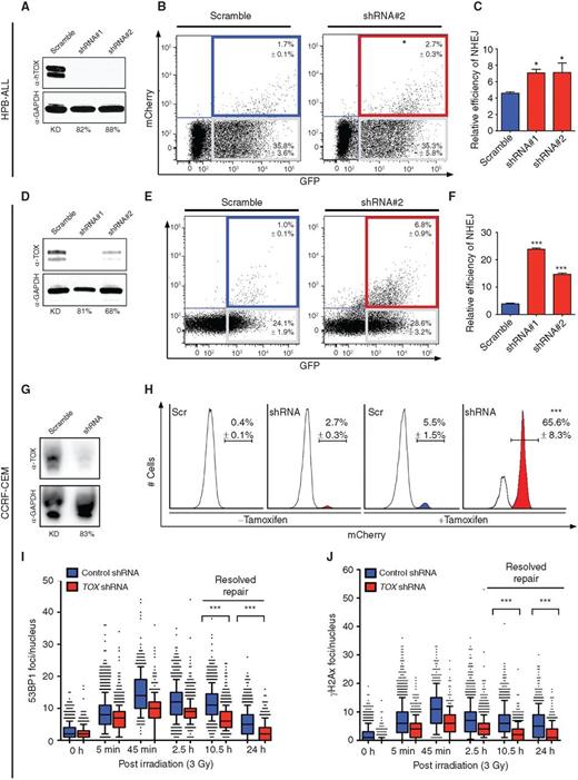 TOX Regulates Growth, DNA Repair, and Genomic Instability in Tcell