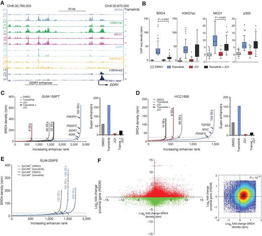Figure 3. Remodeling of epigenomic landscape induced by MEK inhibition. A, SUM-159PT ChIP-seq density tracks at the DDR1 adaptive response RTK locus in the presence or absence of 24-hour 100 nmol/L trametinib. B, Response of BRD4, H3K27ac, MED1, and p300 ChIP-seq density to 24-hour100 nmol/L trametinib alone, or the combination of 300 nmol/L JQ1 at the highest 50 ranking BRD4 peaks defined by trametinib induction magnitude. Quantification of enhancers and super-enhancers by BRD4 density following 24-hour 100 nmol/L trametinib, 300 nmol/L JQ1 or the combination in SUM-159PT (C) or HCC1806 (D) cells. E, Enhancer quantification by BRD4 density following 24-hour 30 nmol/L trametinib in SUM-229PE EpCAM+/CD49f+ (dotted lines) or EpCAM−/CD49f− (solid lines) cells. F, Left, fold change of genome-wide BRD4-stitched peak ChIP-seq density versus transcriptional fold change of genes whose TSS resides ± 200 kb from the BRD4 peak density in SUM-159PT cells with 24-hour 100 nmol/L trametinib. Right, zoom of the plot on left, with warmer colors representing higher density of points showing enrichment in the upper right quadrant. Empirical P value (<10−5) from randomization test indicates that in each of 10,000 cycles of data randomization, the number of points under the null hypothesis of no enrichment did not exceed the number of observed counts for this quadrant.