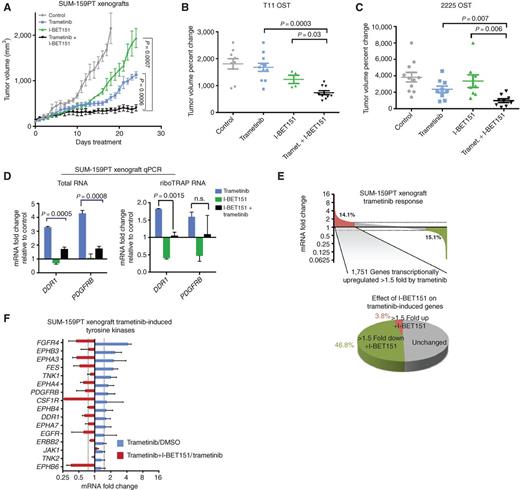 Figure 6. MEK inhibition and BET bromodomain inhibition synergy in vivo. A, Tumor volume in SUM-159PT xenografts: vehicle, 2 mg/kg daily trametinib, 30 mg/kg daily I-BET151, or combination treatment. Percent change in tumor volume from T11 (B) or 2225 (C) OST models following 2-week treatment of 1.0 mg/kg (chow) trametinib, 30 mg/kg (3× weekly, IP) I-BET151, or the combination. Error bars show ± SEM. D, Trametinib-induced mRNA upregulation and I-BET151–mediated suppression of DDR1 and PDGFRB as assayed from total RNA (left) or riboTRAP RNA (right) isolated from SUM-159PT xenografts (n = 3). Error bars show SD from mean. E, Top, SUM-159PT xenograft mean (n = 3) transcriptome showing the percentage of genes induced (red) or suppressed (green) > 1.5-fold by trametinib treatment. Bottom, percentage of trametinib-induced genes further induced (red) or suppressed (green) > 1.5-fold by cotreatment with 300 nmol/L JQ1. F, mRNA fold change of SUM-159PT xenograft tyrosine kinases induced > 1.5-fold by trametinib treatment and corresponding JQ1-mediated suppression. Data are mean ± SD; n = 3 tumors.