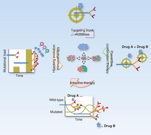Figure 3. Strategies to target clonal evolution. Measurements of clonal evolution through liquid biopsy (and multiregion biopsy) allow one to select and integrate appropriate strategies to harness tumor evolution. The identification of targetable trunk alterations diminishes the odds of escape of clonal branches lacking the targeted alteration. Preventive combination therapy might allow for extermination of resistant cells before the appearance of further resistance mechanisms. Adaptive strategies like the alternating administration of drug holidays and of treatments targeting different branches of the tumor, coupled with liquid biopsy monitoring of subclonal growth ratios, could foster clonal competition and keep overall tumor growth under control. Immune response could be guided against evolution, either by selection and infusion of tumor lymphocytes specific for trunk alterations, and thus capable to withstand evolution, or by triggering evolution to foster the immune response, by increasing the number of neoantigens.
