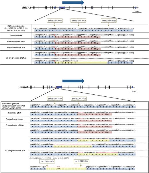 Circulating CellFree DNA to Guide Prostate Cancer Treatment with PARP