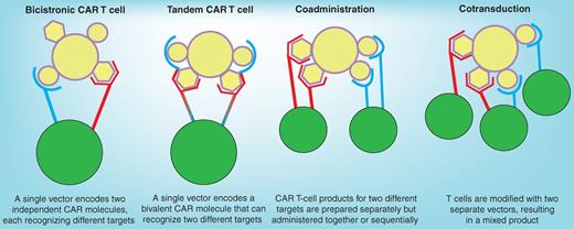 Figure 2. Engineering CAR T-cell multispecificity. CAR T-cell products can be made multispecific in several ways. A single vector encoding two independent CAR molecules separated by a ribosomal skip sequence can be used to make a “bicistronic CAR T cell.” Alternatively, a bivalent “tandem CAR” that recognizes two different antigens can be engineered. This can result in enhanced function when both antigens are engaged. More expensive and labor-intensive is producing two separate CAR T-cell products and administering them together or sequentially to a patient (“coadministration”). Alternatively, T cells can be modified with two separate vectors to achieve a mixed product in which some T cells express both CARs but others express only one (“cotransduction”). This method is more expensive and results in a heterogeneous T-cell product.