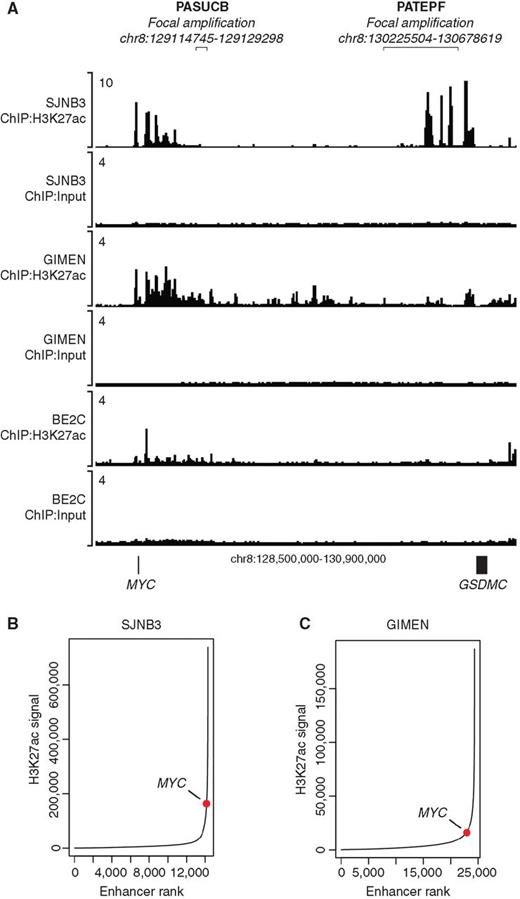 Figure 3. Focal amplification of noncoding, transcriptional enhancer regions occurs downstream of the MYC gene in patients with neuroblastoma. A, ChIP-seq for H3K27ac in SJNB3, GIMEN, and BE2C cells reveals a superenhancer with a high H3K27ac signal downstream of the MYC gene in SJNB3 cells, corresponding to the sequence amplified in primary patient tumor PATEPF. GIMEN shows a superenhancer immediately downstream of the MYC coding region, in the region showing enhancer amplification in the PASUCB primary sample. B, Ranking of H3K27ac signals across the SJNB3 genome demonstrates the high H3K27ac signal of the downstream superenhancer regulating MYC gene expression. C, Ranking of H3K27ac signals across the GIMEN genome demonstrates a relatively lower H3K27ac signal regulating MYC gene expression.
