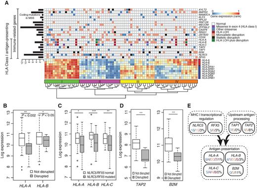 Figure 4. Mutation landscape of immune-related genes and consequences in MSI-high tumors. A, Mutation landscape of 9 genes frequently mutated in MSI-high and involved in antigen presentation, as well as 11 significantly mutated immune-related genes that regulate other hematopoietic cell types beyond antigen presentation. Gene expression for HLA class I (red bar) and class II (blue bar) genes is shown for comparison. Total number of coding mutations in MSS samples for each gene is shown to the left. Samples were clustered by gene expression; the four main clusters are indicated above the dendrogram: Cluster I (green), Cluster II (purple), Cluster III (yellow), and Cluster IV (orange bars). B, Decreases in HLA-A and HLA-B expression in samples with disruptive mutations in those genes. C, Decreases in HLA class I gene expression in samples with mutations in either NLRC5 or RFX5. D, Decreases in TAP2 and B2M expression in samples with disruptive mutations in those genes (*, P < 0.01; **, P < 0.001; ***, P < 1.0 × 10−4 for B–D). E, Mutation counts in pathways affecting antigen presentation broken down by type.