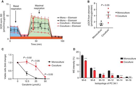 Figure 3. Adipocytes alter melanoma cell fatty-acid metabolism. A, Mitochondrial respiration of FACS-isolated A375-GFP cells in monoculture or after coculture with 3T3L1 adipocytes for 7 days with or without pretreatment with the CPT1 inhibitor etomoxir. OCR was measured under basal conditions followed by the sequential addition of oligomycin (1 μmol/L), FCCP (2 μmol/L), 0.5 μmol/L rotenone/antimycin A. Representative experiment is shown of 4 independent experiments. Error bars, SD. B, Quantification of change (Δ) in maximal OCR with treatment of 40 μmol/L etomoxir in monoculture and cocultured A375-GFP cells. Two-tailed unpaired t test with Welch correction; n = 4 independent experiments. C, Quantification of A375-GFP cells in monoculture or in coculture with adipocytes with or without various doses of the FASN inhibitor cerulenin, calculated as fold change compared with vehicle controls. Two-tailed unpaired t test with Welch correction; n = 4 independent experiments. D, Relative abundance of 13C-labeled isotopologs of PC34:1 were quantified for A375 cells in monoculture or after coculture with adipocytes for 7 days and treated with 13C-acetate for 24 hours. Multiple two-tailed t test with the Holm–Sidak test for multiple comparisons. **, P< 0.005; ***, P< 0.001.