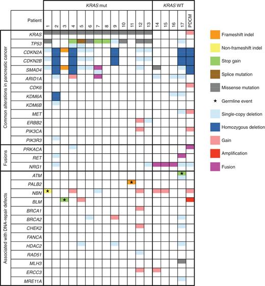 Figure 1. Molecular alterations in KRAS-mutant and KRASWT patients with PDAC and a KRASWT PDAC patient–derived cell model (PDCM). Activating KRAS mutations and oncogenic gene fusions were mutually exclusive. Inactivating TP53 mutations frequently coincided with KRAS mutations, but were absent in KRASWT tumors. Table cells that are half-colored indicate hits of only a single allele. Fully colored table cells indicate biallelic hits. Sequencing coverage metrics are shown in Supplementary Table S2.