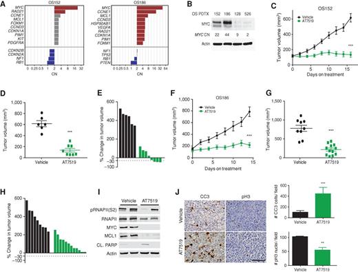 Figure 3. MYC-amplified patient xenografts respond to CDK inhibition. A, Rank-ordered list of SCNAs identified 2 PDTXs with MYC amplification. B, Western blot across PDTXs with varying CNs of MYC. C, Growth curve for MYC-amplified PDTX (OS152) treated with AT7519 compared with vehicle control. D, Individual tumor volume at last time point in C. ***, P < 0.0001. Error bars, SEM. E, Waterfall plot of individual tumors in C. F, MYC-amplified PDTX (OS186) treated with AT7519 compared with vehicle control. G, Individual tumor volume at last time point in F. ***, P < 0.0001. Error bars, SEM. H, Waterfall plot of individual tumors in F. I, Western blot of short-term treated tumors OS152 PDTX, 4 doses of drug and sacrifice 4 hours after last dose. J, Representative IHC and quantitation of OS152 [10X fields of view (FOV)] after short-term treatment for CC3 as a measure of apoptosis, ***, P = 0.0006, and proliferation at end of study as measured by pH3 and quantitation, **, P = 0.003. Statistics calculated by the Student t test. Error bars, SD. Scale bar, 100 μm.