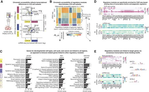 Figure 5. Characteristic patterns of chromatin accessibility distinguish between LCH-cell subsets. A, Scatter plots contrasting differential gene expression with differential chromatin accessibility between progenitor-like LCH-S1 cells and the more differentiated LCH subsets LCH-S12 (top) and LCH-S11 (bottom). The x-axis denotes differences in gene expression (mean normalized UMI count based on scRNA-seq) and the y-axis displays the mean difference in chromatin accessibility over all regulatory regions linked to the respective gene [mean of two replicates, mean normalized reads per million (RPM)]. Colored points denote LCH subset–specific marker genes (from Fig. 3D). B, Heat map showing ATAC-seq signal intensity for 1,964 differentially accessible regions identified in pair-wise comparisons of one LCH-cell subset against the two other subsets. Regions are grouped into six modules based on differential chromatin accessibility. ATAC-seq signal intensity scores are scaled by column (ATAC-seq peaks) for better visualization of differences. C, Enrichment analysis with Enrichr for genes linked to each of the six modules of LCH subset–specific chromatin-accessible regions, showing the top 3 most enriched terms ordered by the Enrichr combined score (58). FDR-adjusted P value: *, P < 0.1; **, P < 0.05. Further details are provided in Supplementary Table S3. D, Heat map of transcription factor binding enrichment for LCH subset–specific modules, based on LOLA (31) analysis using a large collection of chromatin immunoprecipitation sequencing (ChIP-seq) peak profiles. Top, LOLA enrichments colored by the log2 odds ratio of enriched overlap between the region modules and ChIP-seq peaks for the corresponding transcription factor, compared with the background of all regulatory regions in the ATAC-seq dataset. Bottom, mean expression (normalized UMI count) of the gene encoding each transcription factor in different LCH subsets (showing gene expression in LCH_E, which matches the ATAC-seq data, as well as the mean expression across all patient samples). Further details are provided in Supplementary Table S3. E, Enrichment of transcription factor binding motifs for LCH subset–specific modules, based on HOCOMOCO (32) motif occurrences identified using FIMO (59). Top, motif enrichments colored by the log2 odds ratio of enriched overlap between the module regions and DNA motif hits for the corresponding transcription factor, compared with the background of all regulatory regions identified in the ATAC-seq dataset. Bottom, expression levels of the genes encoding the corresponding transcription factors (as in D). Right, consensus DNA motif for selected transcription factors. FDR-adjusted P value, Fisher exact test: *, P < 0.1; **, P < 0.05, ***, P < 0.005.