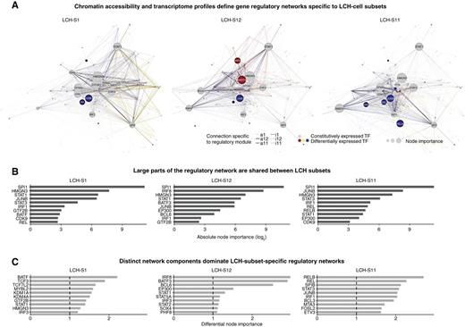 Figure 6. Characteristic gene regulatory networks underlie the observed LCH developmental hierarchy. A, Gene regulatory networks inferred for three LCH-cell subsets (LCH-S1, LCH-S12, LCH-S11), based on single-cell transcriptome and ATAC-seq data, and the key regulators identified by the enrichment analysis in Fig. 5D and E. Nodes in the network correspond to the enriched transcription factors as well as their putative target genes (based on sequence proximity and chromatin 3-D structure). Node size is proportional to both gene-expression level and node out-degree (i.e., number of outgoing connections from the transcription factor) in the respective LCH subset. Edge colors indicate the module of the corresponding peak, and edge visibility is proportional to chromatin accessibility. The network layout was automatically generated using the igraph package. A browser-based version for interactive data exploration is available in Supplementary File S1 and on the Supplementary Website: http://LCH-hierarchy.computational-epigenetics.org. B, Bar plots showing the top 10 transcription factors ranked by node importance (calculated as a combination of gene expression level and node out-degree) in the networks in A. C, Bar plots showing the top 10 transcription factors ranked by differential node importance (node importance in one network relative to the mean across all three networks) in the networks in A.