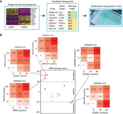 Figure 5. A, A schematic overview of the drug screen. B, HSA synergy scores and dose responses for drug combinations screened in U87 cells in vitro.
