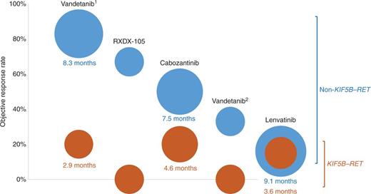Figure 4. Differential activity of multikinase inhibition by upstream partner. The activity of RXDX-105 in RET fusion–positive lung cancers is compared with that of other multikinase inhibitors. Data on the latter were derived from prospective trials of cabozantinib, vandetanib (results from two separate vandetanib trials are shown: 1, a Japanese phase II trial; 2, a South Korean phase II trial), and lenvatinib. Each column represents a single prospective trial showing the differential activity of each agent in tumors harboring KIF5B–RET (orange) versus non-KIF5B–RET (blue) fusions. The position of each bubble on the y-axis corresponds to the ORR. The size of each bubble represents the median progression-free survival (PFS), with larger bubbles indicating a longer median PFS. The value of the median PFS is also specified below each bubble when known. When the median PFS was not available or not reached, the size of each bubble was fixed; this corresponded to a median PFS of 3 months for reference. In general, the ORR and/or median PFS with RET-directed multikinase inhibition are numerically improved in tumors that contain non-KIF5B–RET fusions, recognizing that the latter represents a highly heterogeneous group with a wide variety of upstream partners.