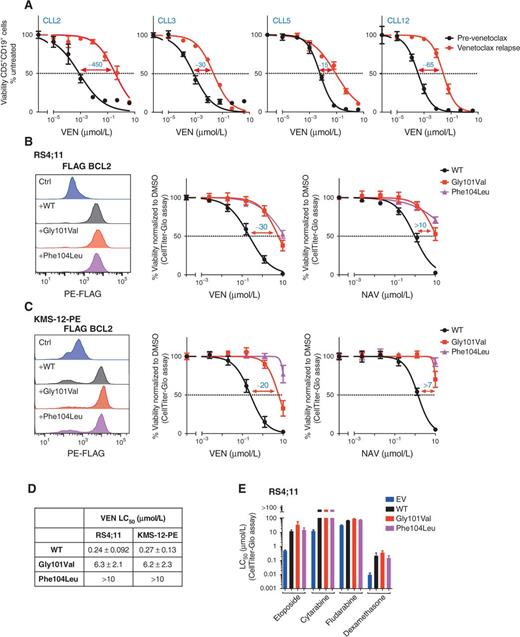 Figure 2. Cells bearing BCL2 Gly101Val have attenuated sensitivity to venetoclax. A, Leukemic cells from patients CLL2, CLL3, CLL5, and CLL12 are markedly less sensitive to venetoclax at progression. Mononuclear cells prepared prior to the patients commencing venetoclax (VEN; black) or at CLL progression (red) were incubated for 24 hours with venetoclax in vitro (0–4 μmol/L). Data represent means ± 1 SD of triplicate measurements in single experiments for viable (PI−) CLL cells (CD5+ CD19+); fold changes in LC50 values are indicated. B, Expression of BCL2 Gly101Val or BCL2 Phe104Leu in the RS4;11 cell line reduces sensitivity to venetoclax. Each of these mutants or WT BCL2 were equally expressed (see FACS profiles on left), and the in vitro sensitivities to venetoclax (0–10 μmol/L; middle) or to navitoclax (NAV; 0–10 μmol/L; right) measured 24 hours later. The fold reductions in LC50 values with the Gly101Val mutation are indicated. C, Similar to B, but in another B-lineage cell line, KMS-12-PE. D, Summary of the LC50s (B, C) for WT BCL2 and each of the mutants. E, Like WT BCL2, the BCL2 mutants afforded protection against killing by other anticancer drugs. Control RS4;11 cells, or ones expressing WT or mutant BCL2 were incubated with etoposide (0–100 μmol/L, 24 hours), cytarabine (0–100 μmol/L, 24 hours), fludarabine (0–100 μmol/L, 24 hours), or dexamethasone (0–10 μmol/L, 48 hours), and LC50 values were calculated. The expression of WT BCL2 significantly inhibited killing by these drugs; the mutants (Gly101Val or Phe104Leu) were as potent as the WT protein. Data in B–E represent means ± 1 SD of three independent experiments.