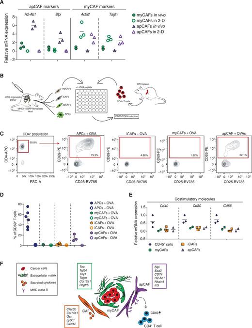 Cross-Species Single-Cell Analysis of Pancreatic Ductal Adenocarcinoma ...