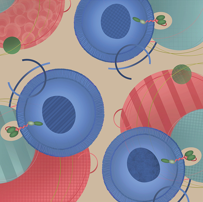 Issue cover image