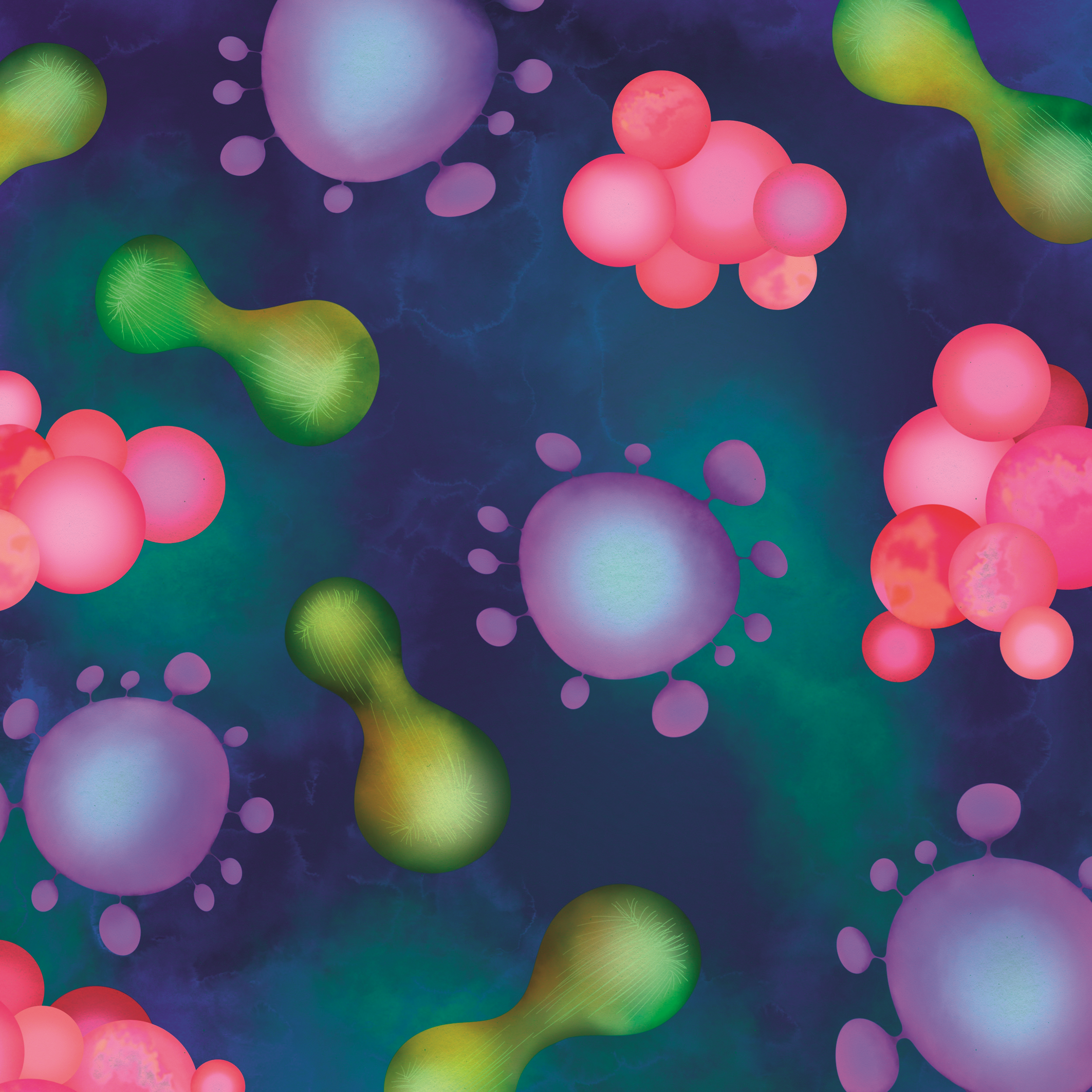 Issue cover image