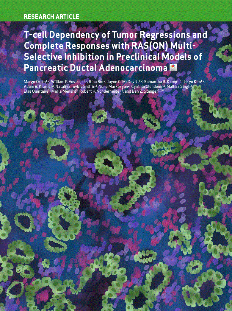 First page of T-cell Dependency of Tumor Regressions and Complete Responses with RAS(ON) Multi-Selective Inhibition in Preclinical Models of Pancreatic Ductal Adenocarcinoma<alt-title alt-title-type="short">Complete Responses with RAS(ON) Multi-Selective Inhibition</alt-title>