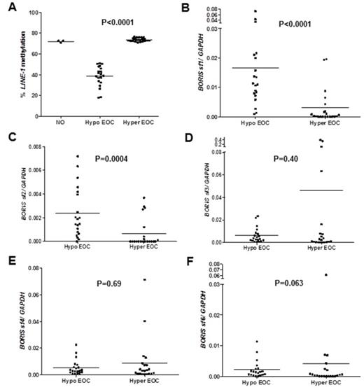 BORIS/CTCFL mRNA isoform expression and regulation in epithelial ovarian cancer