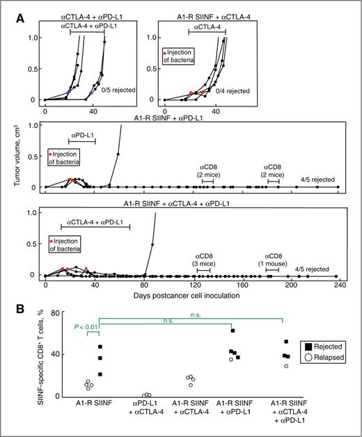 AntigenSpecific Bacterial Vaccine Combined with AntiPDL1 Rescues