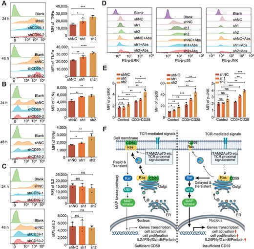 CD59-Regulated Ras Compartmentalization Orchestrates Antitumor T-cell ...