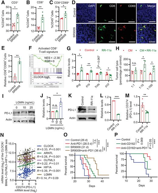 Circadian Regulator CLOCK Drives Immunosuppression in Glioblastoma ...