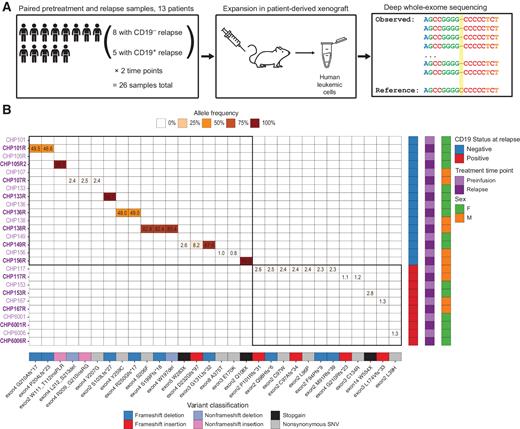 Characterization of Leukemic Resistance to CD19-Targeted CAR T-cell ...