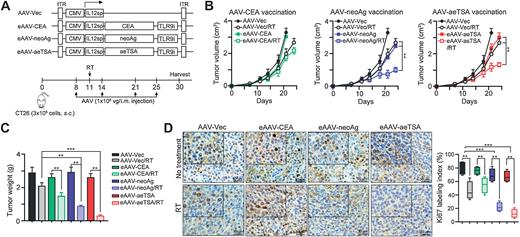 A Novel Engineered AAV-Based Neoantigen Vaccine in Combination with ...