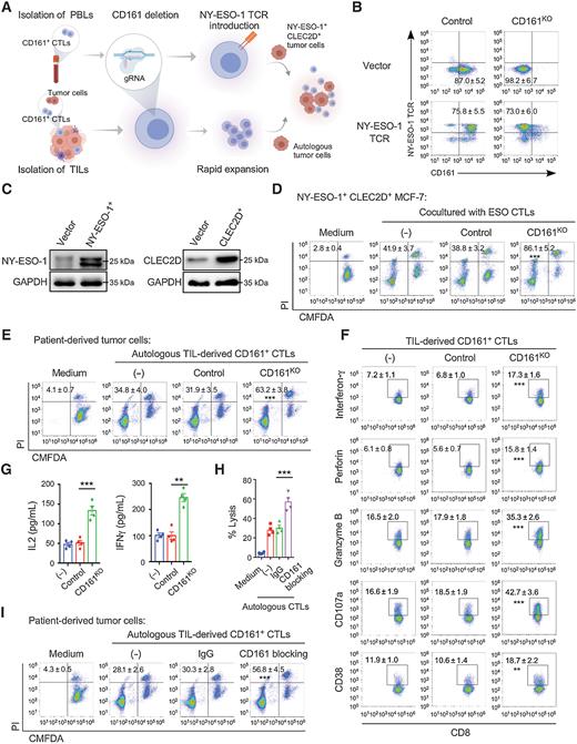 CD8+ T cell–Dependent Remodeling of the Tumor Microenvironment ...