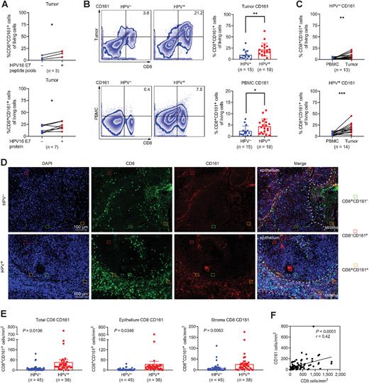 CD161 Characterizes an Inflamed Subset of Cytotoxic T Lymphocytes ...