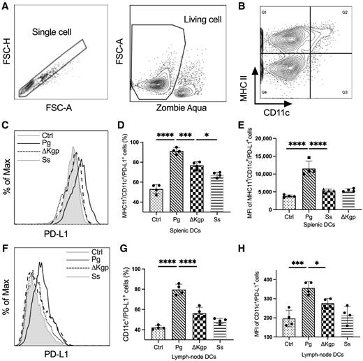 Figure 2. P. gingivalis infection promotes the expression of PD-L1 on DCs in vivo. A, Density plots showing the gating strategy used to assess DC populations from mouse spleens via selecting MHC-II+ CD11c+ cells. B, Flow cytometry plots showing the purity of CD11c+MHC-II+ cells. C, Representative flow cytometry histograms showing PD-L1 expression on splenic DCs. D, The percentages of splenic CD11c+MHC-II+ cells expressing PD-L1 and (E) MFI of PD-L1–positive CD11c+MHC-II+ cells. F and G, For orally infected mice, CLNs were collected 30 days after infection. Lymphocytes were harvested and stained with CD11c- and PD-L1–specific antibodies. Flow cytometry analysis showing CD11c+PD-L1+ cells and PD-L1 expression after P. gingivalis, ΔKgp mutant, or control commensal bacterial infection. Each symbol represents an individual mouse, and data are shown as mean ± SE (n = 4 mice). Statistical analysis was performed using one-way ANOVA with the Tukey multiple comparisons test. Results are representative of 3 independent experiments. *, P < 0.05; ***, P < 0.001; ****, P < 0.0001.