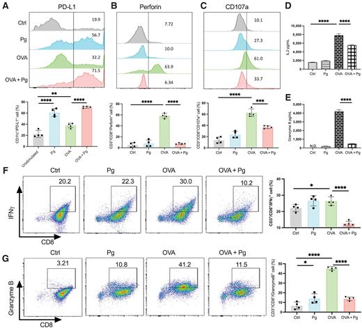 Figure 4. P. gingivalis infection promotes DC-PD-L1 and suppresses CD8+ T-cell activity. A, Flow cytometry histograms showing the expression of PD-L1 on CD11c+ Flt3l-DCs with a pretreatment of P. gingivalis, OVA, or both for 3 hours and a subsequent coculture with OT-I CD8+ T cells for 3 days. B and C, Representative plots showing Flt3l-DC–primed CD8+ T cells expressing perforin (B) or CD107a (C). The bar figures in lower row showed the percentages of positive DCs (A) or CD8+ T cells (B and C). D and E, Coculture supernatants were harvested, and the CD8+ T-cell production of (D) IL2 and (E) granzyme B was assessed by ELISA. F, Flow cytometry showing percentages of Flt3l-DC–primed CD8+ T cells expressing IFNγ and (G) granzyme B.  Each symbol represents an experimental replicate, and data are shown as mean ± SE. Results are representative of 3 independent experiments. Statistical significance was determined by one-way ANOVA with Tukey multiple comparisons test. *, P < 0.05; ****, P < 0.0001.