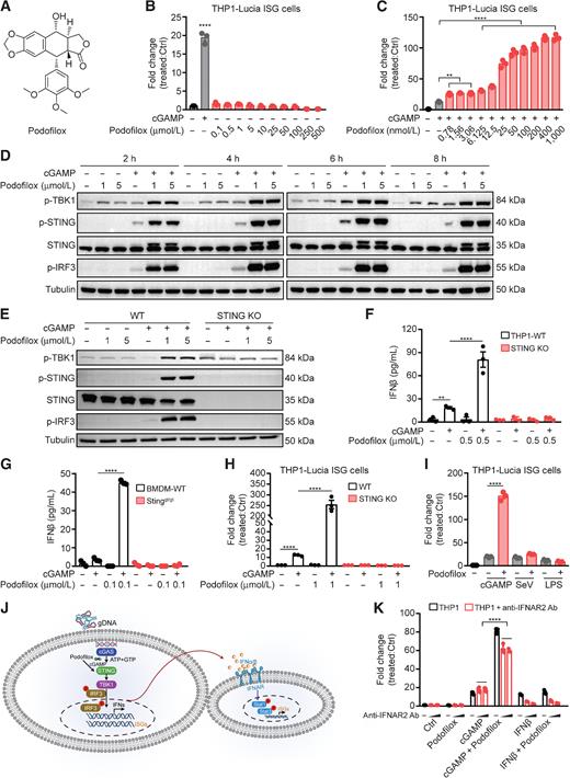 Discovery of Podofilox as a Potent cGAMP–STING Signaling Enhancer with ...
