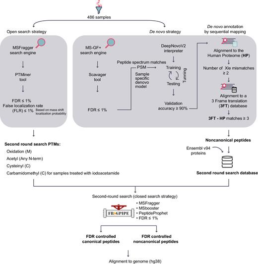 Figure 2. COD-dipp: A new high-throughput pipeline for a deep interrogation of immunopeptidomic datasets. Samples are first analyzed with an open search strategy to detect the landscape of PTMs. An FLR for the PTMs and FDR of 1% are applied. Simultaneously, the samples are analyzed using a novel de novo approach to identify noncanonical peptides. The de novo strategy trains a model per sample using quality-controlled PSMs from the MS-GF+ search engine to learn the direct interpretation of sample-specific mass spectra. The MS-GF+ results are split into three groups: training and testing to tune the hyperparameters and account for overfitting, and a validation group to approximate the accuracy per sample. De novo predicted peptides with an accuracy of at least 90% are sequentially mapped against the Human proteome (HP) then a 3-frame translation (3FT) database of protein-coding genes (1 mismatch allowed between leucine/isoleucine, i.e., Xle). Predicted de novo peptides matching any known protein are labeled “canonical”. Peptides mapping to the 3FT database with at least 3 amino acids mismatches from any known protein sequence are labeled “noncanonical”. Finally, a second-round search is performed as a validation approach. Four of the most abundantly identified PTMs and a custom database consisting of ENSEMBL proteins and noncanonical peptides are considered. The resulting canonical and noncanonical peptides are controlled to an FDR of 1% and aligned to the hg38 human genome.