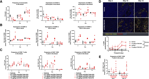 mTAK-500 shows dose-dependent induction of innate and adaptive immunity in an MC38 tumor–bearing mouse model. Data shown represent the mean from five mice per group per timepoint. Experiment was performed at least twice with consistent results between independent replicates. Error bars indicate SEM. A, Evaluation of monocyte frequency (left), CCR2 expression (middle), and activation (right) in the blood of MC38 tumor–bearing mice treated with mTAK-500. B, Evaluation of DC activation in the tumor-draining lymph nodes (tdLN; left and middle) and tumor (right) in MC38 tumor–bearing mice treated with mTAK-500. C, Evaluation of the frequency (left), proliferation (middle), and activation (right) of CD8+ T cells in the blood of MC38 tumor–bearing mice treated with mTAK-500. D, Evaluation of the CD8+ T-cell frequency (left) and proliferation (right) in the tumors of MC38 tumor–bearing mice treated with mTAK-500. E, Evaluation of the frequency of CD8+ T-cell proliferation in the tumors of MC38 tumor–bearing mice treated with mTAK-500. Geo, geometric.