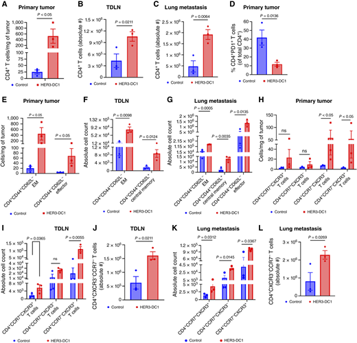 Phenotypic analysis of CD4T cells in primary tumor, TDLN, and distant metastatic site with DCCs. A–C, Infiltration of CD4T cells in primary tumor (A), TDLN (B), and distant metastasis site lung with DCCs (C) of experimental mice bearing B16-F10 spontaneous metastasis analyzed by flow cytometry (n = 3/group). D, The frequency of CD4+PD1+ T cells in primary tumor (A) was determined by flow cytometry (n = 3/group). E, Infiltration of CD4+CD44+CD62L− EM and CD4+CD44−CD62L− effector cells in primary tumor (A) determined by flow cytometry (n = 3/group). F, Infiltration of CD4+CD44+CD62L− EM and CD4+CD44+CD62L+ central memory in TDLN (B) analyzed by flow cytometry (n = 3/group). G, Infiltration of CD4+CD44+CD62L− EM, CD4+CD44+CD62L+ central memory, and CD4+CD44−CD62L− effector cells in distant metastatic site lung with DCCs (C) determined by flow cytometry (n = 3). H, The level of CD4+CCR7+CXCR3+ T, CD4+CCR7+CXCR3− T, CD4+CCR7−CXCR3− T, and CD4+CCR7−CXCR3+ T cells in primary tumor (A) determined by flow cytometry (n = 3/group). I and J, The level of CD4+CCR7+CXCR3+ T, CD4+CCR7+CXCR3− T, CD4+CCR7−CXCR3+ T (I), and CD4+CCR7-CXCR3− T cells (J) in TDLN (B) determined by flow cytometry (n = 3/group). K and L, Infiltration of CD4+CCR7+CXCR3+ T, CD4+CCR7+CXCR3− T, CD4+CCR7−CXCR3+ T (K), and CD4+CCR7−CXCR3− T cells (L) in metastatic site lung with DCCs (C) determined by flow cytometry (n = 3/group). All data are presented as mean ± SEM represented. P values were calculated by one- or two-tailed Student t test. ns, not significant. 