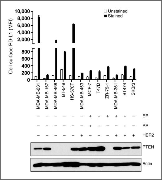 Figure 2. PD-L1 and PTEN expression in cultured breast cancer cell lines. A panel of breast cancer cell lines was evaluated for cell-surface PD-L1 expression by flow cytometry (MFI mean ± SD) and for PTEN expression by Western blot analysis. Actin was used as a loading control. Data show higher PD-L1 expression in four of the five TNBC cell lines evaluated in comparison with non-TNBC cell lines. MFI, median fluorescence intensity.