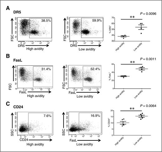Figure 1. Expression of proapoptotic proteins DR5, FasL, and CD24 is increased on low-avidity relative to high-avidity CD8+ T cells. A total of 6 × 106 high- or low-avidity T cells were adoptively transferred into neu-N mice treated with Cy and vaccine. Three days later, adoptive transfer cells were extracted from the tumor-draining node of the neu-N mice and protein expression was assessed by flow cytometry. These experiments were repeated at least five times (n = 3–5 mice/group). A, DR5 expression compared between low-avidity CD8+ T cells and high-avidity CD8+ T cells. B, FasL expression compared between low-avidity CD8+ T cells and high-avidity CD8+ T cells. C, CD24 expression compared between low-avidity CD8+ T cells and high-avidity CD8+ T cells. FSC, forward scatter; SSC, side scatter.