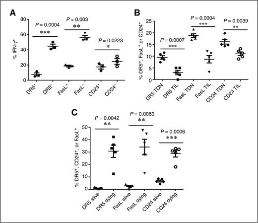 Figure 2. Expression of DR5, CD24, and FasL is correlated with reduced T-cell function and increased apoptosis. High- or low-avidity CD8+ T cells were adoptively transferred into Cy- and vaccine-treated neu-N mice. Cells were taken from the tumor-draining node (TDN) on day 3 for all except for B in which cells were taken on day 5 from the tumor-draining node and tumor. These experiments were repeated at least three times (n = 3–5 mice/group). A, IFN-γ secretion on low-avidity T cells without DR5, FasL, and CD24 expression when compared with low-avidity T cells expressing these proteins. B, DR5, FasL, and CD24 expression on high-avidity T cells from the tumor-draining node compared with TILs. C, dying low-avidity T cells were identified through Annexin V+ and 7-AAD− staining and levels of DR5, FasL, and CD24 protein expression were compared.