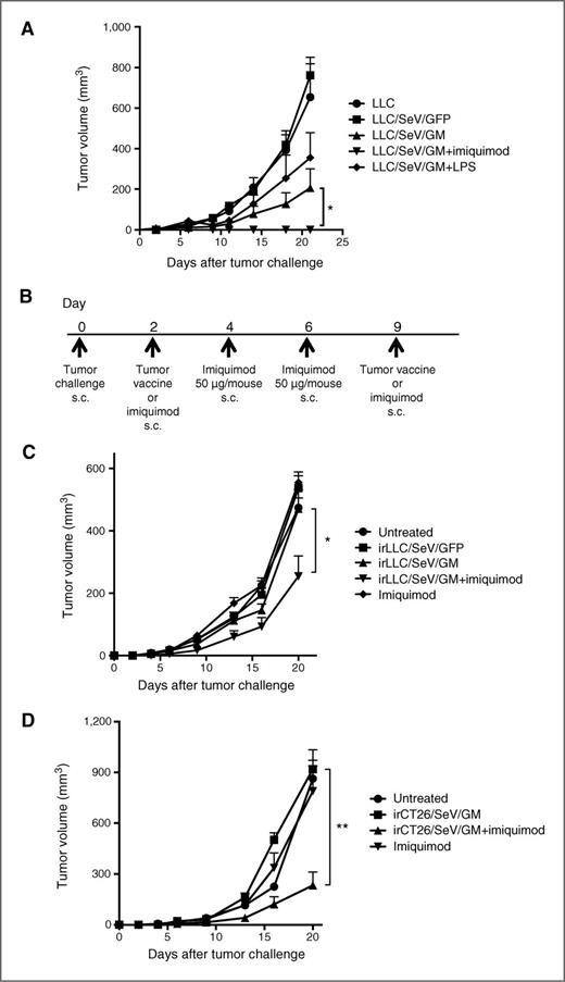 Figure 4. Combined imiquimod and irLLC/SeV/GM cells exert significant therapeutic antitumor effects compared with irLLC/SeV/GM cells alone. A, a total of 2.0 × 105 LLC and LLC/SeV/GM cells with or without LPS or imiquimod were subcutaneously inoculated into the right flanks of C57/BL6N mice. Bar graphs, mean + SEM of tumor volumes. Combined data from two independent experiments with similar results are shown (*, P < 0.05). B, schematic diagram of the experimental protocol of therapeutic GM-CSF–based tumor vaccination. Briefly, 2.0 × 105 LLC cells or 3.0 × 105 CT26 cells were inoculated subcutaneously to C57/BL6N or BALB/cN mice. LLC-bearing mice were divided into the following groups: untreated, imiquimod alone, irLLC/SeV/GFP, irLLC/SeV/GM, or irLLC/SeV/GM cells plus imiquimod. CT26-bearing mice were divided into the following groups: untreated, imiquimod alone, irCT26/SeV/GM or irCT26/SeV/GM cells plus imiquimod. On days 2 and 9, mice were inoculated subcutaneously with the indicated vaccine cells. For imiquimod administration, mice were subcutaneously inoculated with imiquimod on days 2, 4, 6, and 9. Represented are tumor growth curves observed in either LLC- (C) or CT26-bearing (D) mice (*, P < 0.05; **, P < 0.01).