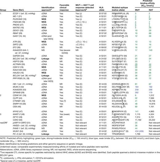 Biologic features and predicted binding affinities of neoantigen-directed T-cell responses in humans