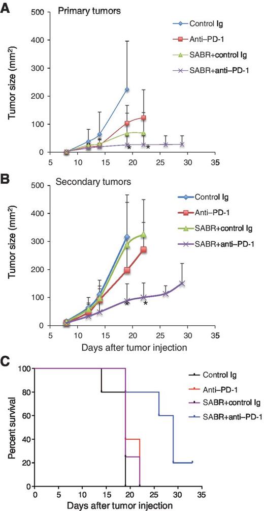 Figure 2. PD-1 blockade enhanced antitumor abscopal effects induced by radiotherapy. The primary tumors were treated with local radiotherapy at 15 Gy on day 8 after tumor injection. Anti–PD-1 mAb (Clone G4) or control Ig (200 μg/mouse) were injected i.p. on day 7 and every other day thereafter for a total of 5 doses. Tumor growth was measured in primary (A) and secondary (B) tumors and was shown as mean size ± SD of 5 mice per group. *, P < 0.05 compared with mice treated with anti–PD-1 mAb alone (n = 5). C, the survival of mice treated with anti–PD-1 mAb and radiotherapy was longer than that of mice treated with anti–PD-1 mAb alone (P < 0.05, n = 5) or without treatment. Results of one of three independent experiments are shown.