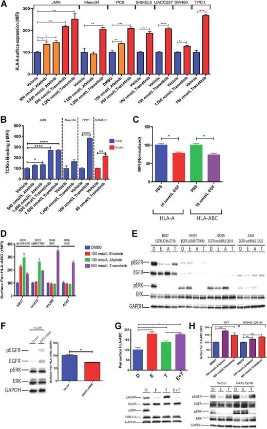 Figure 2. Use of selective EGFRi and MEKi increased cell-surface HLA-A expression and tumor antigen presentation, whereas activation of EGFR caused downregulation of MHC-I. A, MEK inhibition and EGFR inhibition for 72 hours with indicated inhibitors increased HLA-A (BB7 binding) by flow cytometry in JMN, Meso34, PC-9, UACC257, SK-MEL-5, SW480, and TPC1 cell lines. DMSO (1%) was used as a vehicle control. B, binding of TCR-mimic antibodies to peptide /MHC epitopes. In blue, use of ESK antibody to a peptide derived from the oncoprotein WT1 that is presented on HLA-A0201. Binding increased after inhibition of EGFR and MEK for 72 hours in JMN, Meso34, and TPC1. In red, the PRAME TCR-mimic antibody to an epitope of PRAME tumor antigen presented on HLA-A0201 on SKMEL5 cells. Experimental set-up was similar to A. C, treatment of JMN with 10 nmol/L EGF for 72 hours, causing activation of the downstream MAPK pathway, led to decreased surface HLA-A and total HLA-ABC. D, use of EGFRi erlotinib, along with MEKi trametinib, on H827 (EGFR E746del-A750 mutation), H1975 (L858R/T790M), H1299 (EGFR wt, NRAS Q61K), and A549 (EGFR wt/KRAS G12S) to alter surface HLA-ABC expression. The Student t test was done to compare each treatment to vehicle control. *P values annotated as in Fig. 1. E, Western blot analysis showing degree of inhibition of the MAP kinase pathway on a panel of NSCLC cell lines using 1% DMSO (D), 100 nmol/L erlotinib (E), 100 nmol/L afatinib (A), or 500 nmol/L trametinib (T). F, H1299 cells were transduced with retroviral vectors expressing EGFR L858R and were analyzed for surface pan–HLA-ABC using W6/32. Activation of EGFR is demonstrated by Western blot. G, EGFR inhibition upregulated surface HLA-ABC more than MEKi, despite equivalent inhibition of pERK output. H, EGFRi upregulated MHC-I despite downstream mutations causing constitutive MAPK activation. The NRAS Q61K mutation was introduced into H827 and cells were treated with EGFRi or MEKi as done in 2G. Experiments were performed 2 to 4 times with similar results, and data shown are representative.