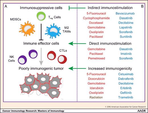 Figure 1. Immunological effects of anticancer therapy. Human neoplasms develop in the context of an intimate, bidirectional relationship with the host immune system, which eventually results in the selection of tumor variants displaying reduced antigenicity and adjuvanticity, as well as in the establishment of local and systemic immunosuppressive networks (A). The clinical success of several treatments currently used against solid malignancies (including conventional chemotherapeutics, in red, targeted anticancer agents, in blue, and radiotherapy) depends (at least in part) on their ability to promote therapeutically relevant tumor-targeting immune responses, either as they increase the immunogenicity (antigenicity or adjuvanticity) of malignant cells (“on-target” immunostimulation), or as they interact with immune effectors or immunosuppressive cell populations (“off-target” immunostimulation; B). CTL, CD8+ cytotoxic T lymphocyte; MDSC, myeloid-derived suppressor cell; NK, natural killer; TAM, tumor-associated macrophage; Treg, CD4+CD25+FOXP3+ T.