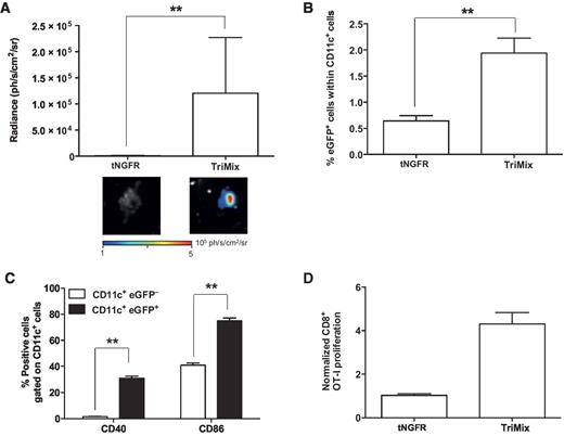 Intratumoral Delivery of TriMix mRNA Results in T-cell Activation by ...