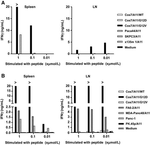 Figure 2. Murine T cells reactive to KRAS G12V or KRAS G12D generated from HLA-A*11:01 transgenic mice by in vivo peptide immunization. A, IFNγ production of murine T cells from splenocytes or draining LN lymphocytes from peptide-immunized HLA-A*11:01 transgenic mice. Spleen and LN from immunized mice were harvested, and stimulated with different concentrations (1, 0.1, or 0.01 μmol/L) of KRAS G12V7–16 peptide once in vitro. Seven days after in vitro stimulation, T cells were cocultured with COS7 stably transduced with HLA-A*11:01 (COS7/A11) and KRAS minigenes encoding the 23 N-terminal amino acids of wild-type KRAS (WT), mutation variants KRAS G12D and KRAS G12V, and 3 HLA-A*11:01–transduced pancreatic tumor lines carrying KRAS G12V mutations. After overnight incubation, supernatants were harvested and IFNγ production was measured. B, IFNγ production of murine T cells from splenocytes or LN from HLA-A*11:01 transgenic mice immunized three times with KRAS G12D7–16 peptide. Spleen and LN from immunized mice were harvested, and stimulated with different concentrations (1, 0.1, or 0.01 μmol/L) of KRAS G12D7–16 peptide once in vitro. Seven days after in vitro stimulation, T cells were cocultured with COS7/A11 transduced with KRAS minigenes, and four HLA-A*11:01–positive pancreatic tumor lines carrying KRAS G12D mutations. After overnight incubation, the supernatant was harvested and IFNγ production was measured.
